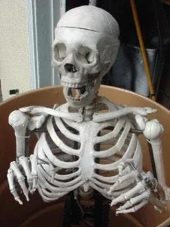 DC Props "Barrel Spitter Skeleton" Halloween Animatronic Animatronics