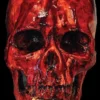 Morris Props "Bloody Resin Skull" Halloween Prop