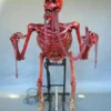 DC Props "Bloody Skele-ttack With Head Turn" Skeleton Halloween Animatronic (Includes Bad Breath Spitter)