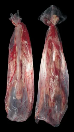 Distortions Hanging Decorations "Body Bag Thrasher" Halloween Animatronic