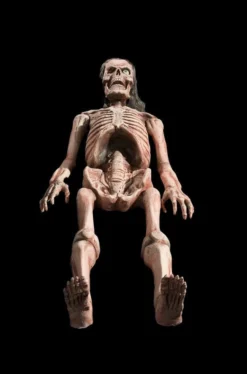 Morris "Bones" Electric Animated Skeleton Halloween Prop Props