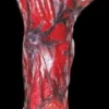 Morris "Burnt Arm" Gory Halloween Prop Props