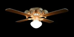 Skeletons And More Decorations "Ceiling Fan With 8 Small Skulls And Light" Haunted House Lighting
