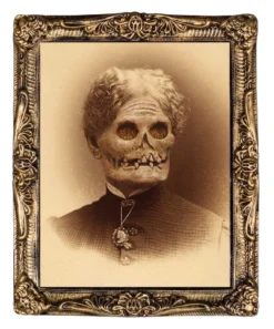 Morris "Changing Portrait - Aunt Hazel" Halloween Decoration