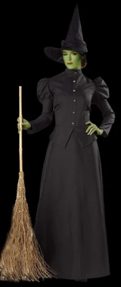 Morris "Classic Witch" Deluxe Costume Costumes