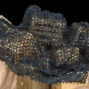 Morris Decorations "Creepy Netting - 4x6 Feet" Haunted House Decoration
