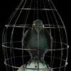 Morris Props "Crow In Cage" Animated Halloween Prop