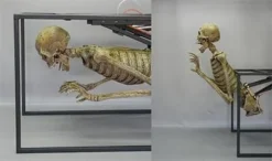 DC Props "Crypt Dweller" Skeleton Halloween Animatronic Animatronics