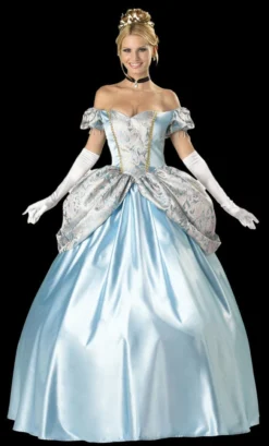 Morris "Enchanting Princess" Costume
