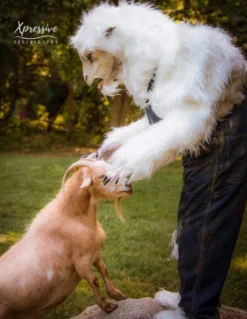 The Horror Dome Costumes