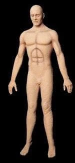 Distortions Props "Flex Male Body" Posable Halloween Prop