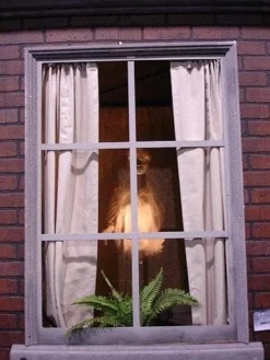 Distortions "Ghostly Window" Haunted House Animatronic