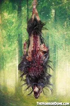 The Horror Dome Gutted Baby Werewolf Hanging Prop Props