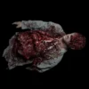 Midnight Studios "Leftovers" Human Body Halloween Prop