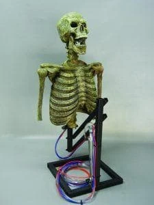 DC Props "Mini Popper" Skeleton Halloween Animatronic Animatronics