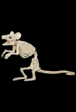 Morris "Mouse Skeleton" Animal Prop Props