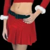 Morris "Ms. Santa - Sexy" Costume