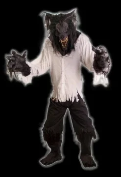 The Horror Dome Costumes "Night Rage" HD Studios Costume