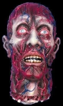 Morris "Peeled Flesh" Severed Head Halloween Prop