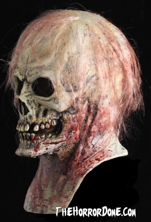 The Horror Dome "Ravenger" HD Studios Pro Mask