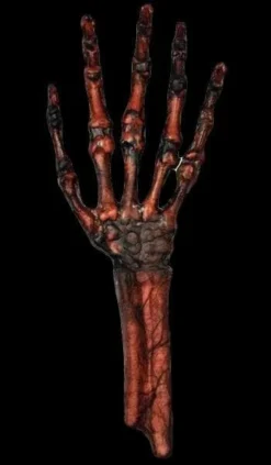 Morris "Rotted Hand - Flesh And Bone" Human Body Part Halloween Prop Props