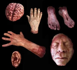 SpellBound FX And Art "Silicone Body Parts" Gory Halloween Props- Package Deal
