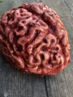 SpellBound FX And Art "Silicone Brain" Body Part Halloween Prop Props