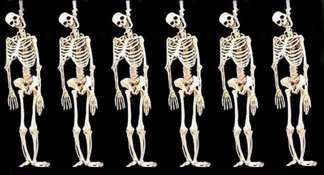 Morris Package Deals "Skeleton Halloween Props" - 6x Package Deal