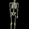 Morris "Skeleton" Hanging Halloween Prop - 60"