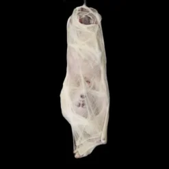 Distortions "Spider Bites" Static Halloween Prop