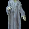 The Horror Dome Costumes "Swamp Hag" HD Studios Costume