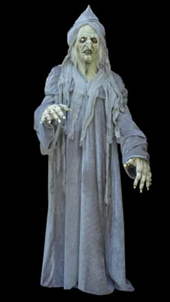 The Horror Dome Costumes "Swamp Hag" HD Studios Costume