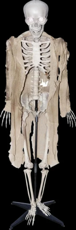 Morris "Talking Skeleton" Halloween Prop - Open Box