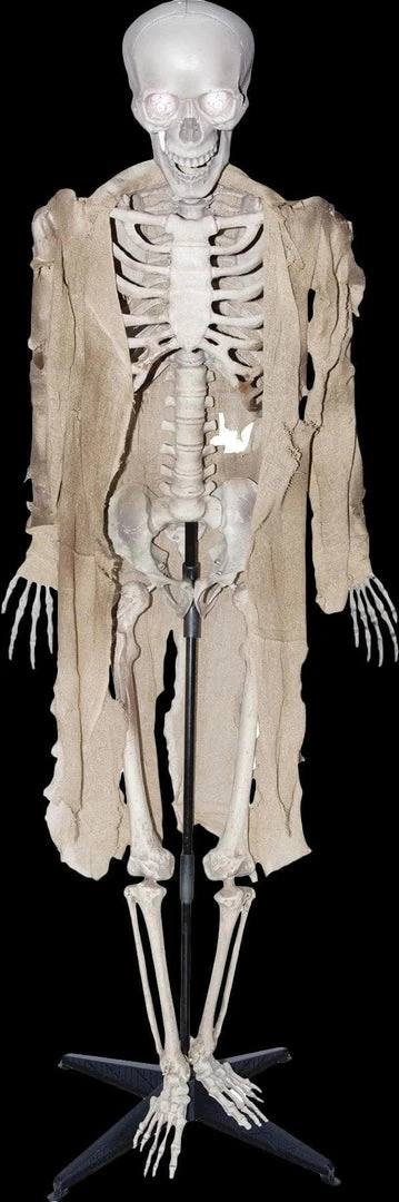 Morris "Talking Skeleton" Halloween Prop - Open Box