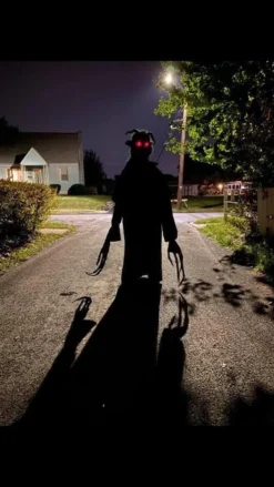 The Horror Dome Costumes