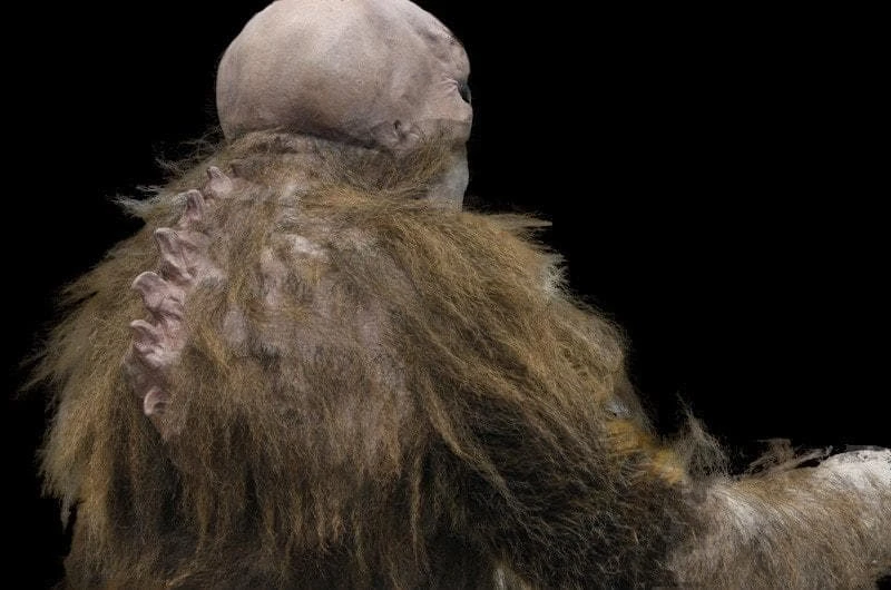 The Horror Dome "The Hobgoblin" HD Studios Pro Costume Costumes