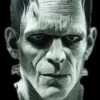 Morris Scary Masks "Universal Studios Frankenstein" Mask
