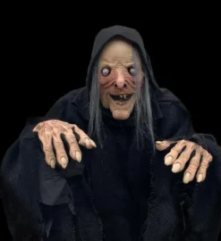 The Horror Dome Costumes "Wicked Witch" HD Comfort Costume