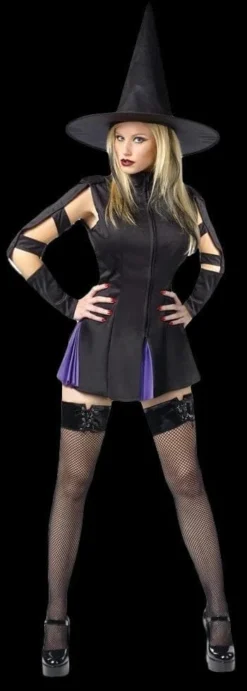 Morris Costumes "Wicked Witch" Costume (Adult)