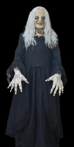 The Horror Dome Costumes "Witchy Woman" HD Studios Costume