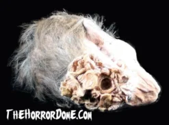 The Horror Dome Props "Zombie Head" HD Studios Halloween Prop