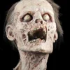 The Horror Dome Props "Zombie Head" HD Studios Halloween Prop