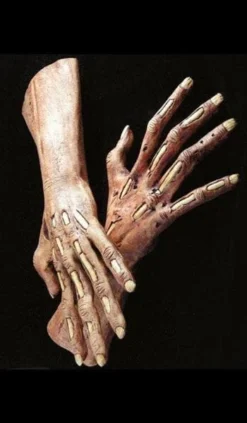 The Horror Dome Hands & Feet "Zombie Latex Hands" Halloween Costume Gloves